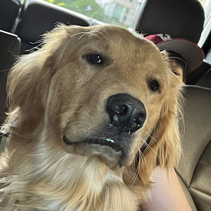 Meet your Posher, Chloe